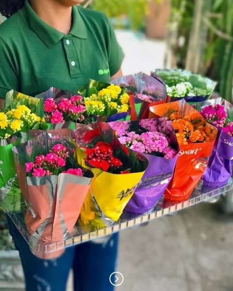 خرید کالانکوئه برای فضای سبز محل کار