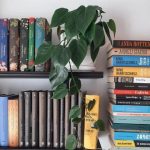 فیلودندرون برگ قلبی برای فضای داخلی خانه‌های شیک