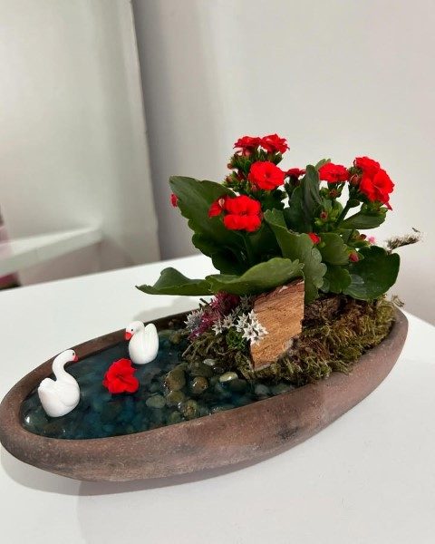 کالانکوئه برای دکور فضاهای اداری و تجاری