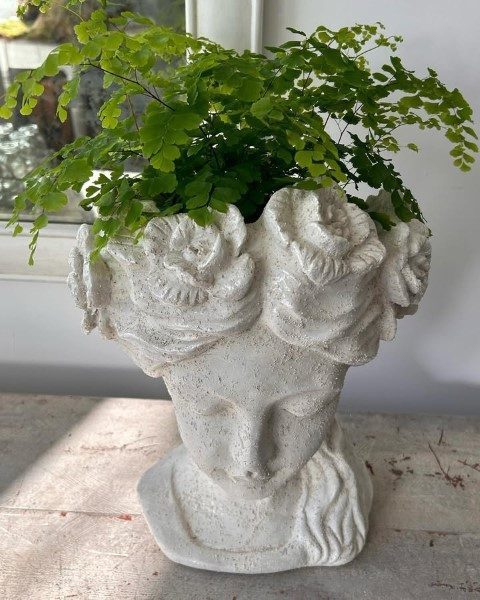 پرسیاوشان مناسب برای استفاده در فضای سبز پارک‌ها