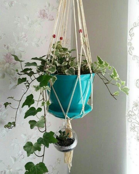پاپیتال برای تزئین فضای سبز در رستوران‌های بیرون‌بر