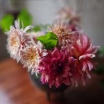 خرید گل داوودی برای تزئین ورودی فروشگاه