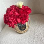 میخک گیاهی ایده‌آل برای هدیه به عزیزان