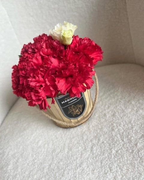 میخک گیاهی ایده‌آل برای هدیه به عزیزان