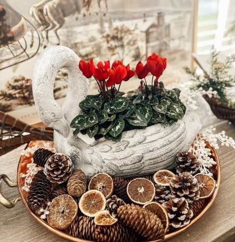 گل نگون‌سار به عنوان هدیه‌ای خاص برای عزیزان
