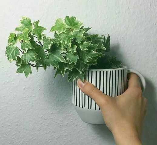 پاپیتال مناسب برای طراحی فضای سبز در تراس