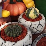 سفارش کاکتوس برای طراحی ویلاهای مدرن