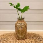 خرید فیلودندرون برگ انجیری برای فضای داخلی دفتر