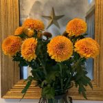 گل داوودی برای تزئین محیط‌های تفریحی و ورزشی