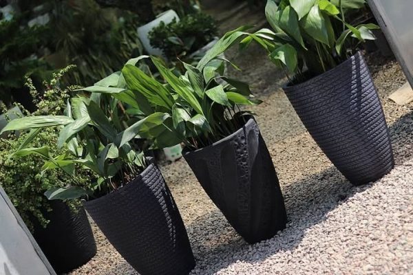 سفارش برگ عبایی برای طراحی فضاهای سبز در مراکز خرید