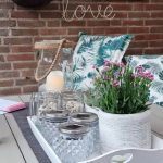 میخک برای پر کردن فضای خالی در خانه