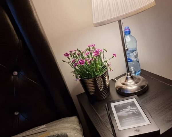 خرید میخک برای گل‌آرایی در جشن‌ها