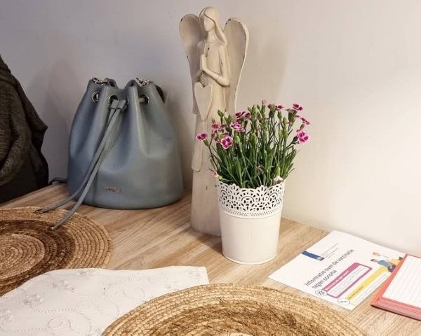 میخک گیاهی مناسب برای هدیه و مناسبت‌ها