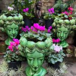 سفارش گل نگون سار برای استفاده در دفتر کار