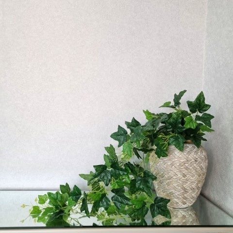 پاپیتال مناسب برای تزئین فضای سبز در موزه‌ها