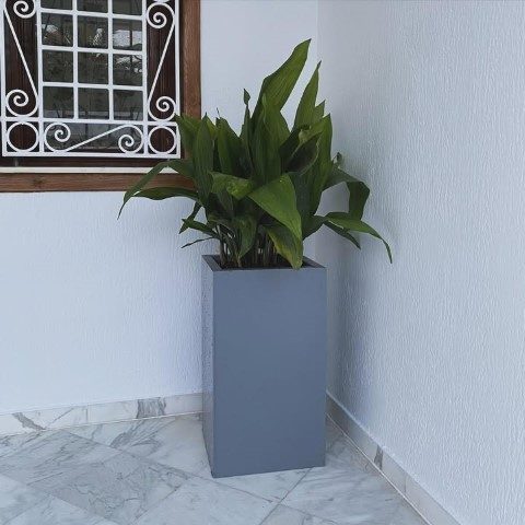 سفارش برگ عبایی برای تزئین فضای درختی و باغی