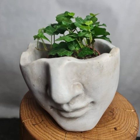 استفاده از پاپیتال برای تزئین فضای سبز ادارات