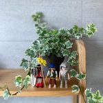 استفاده از عشقه برای دکوراسیون فضای سبز در تراس