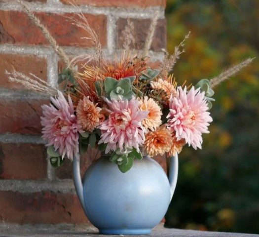 خرید گل داوودی برای فضاهای محوطه‌ای در اماکن تاریخی
