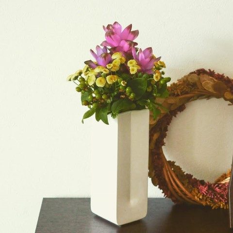 لاله تابستانی گیاهی با شکوفه‌های رنگی برای حیاط