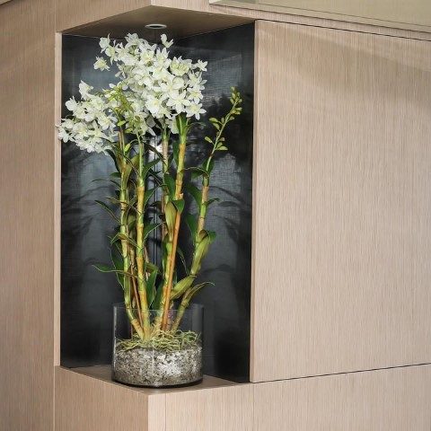 ارکیده دندروبیوم مناسب برای تزئین مراسم نامزدی