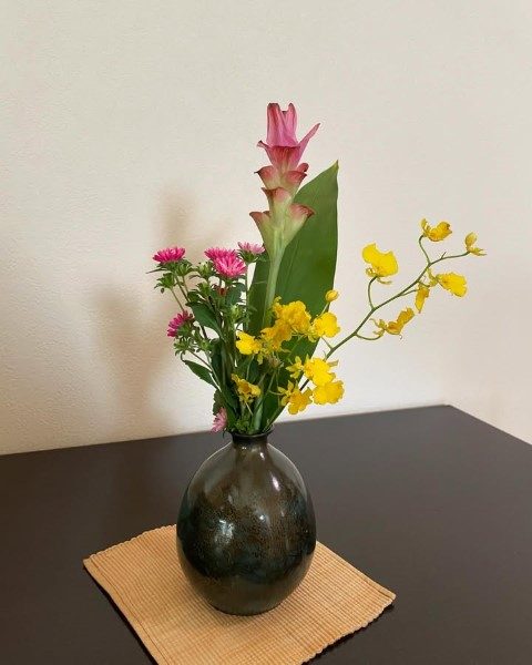 تاثیر جینجر در ایجاد فضای سبز و طبیعی در خانه