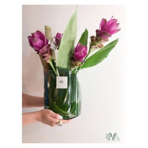 خرید لاله تابستانی برای خلق فضای رنگی در حیاط