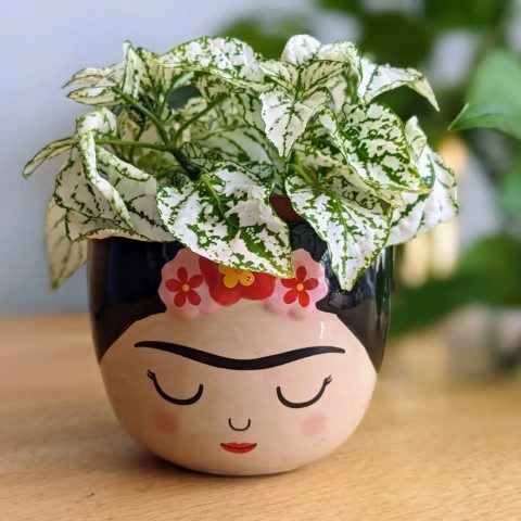 خرید گل سنگ برای طراحی تراس و بالکن