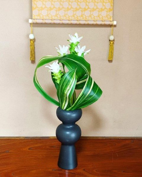 لاله تابستانی برای ایجاد زیبایی در فضاهای عمومی