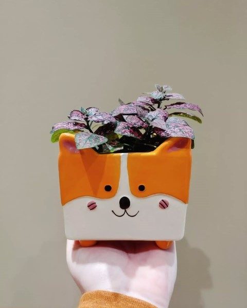 گل سنگ مناسب برای تزئین فضاهای تجاری و اداری