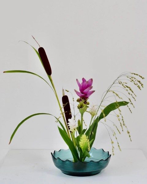 گل‌های لاله تابستان برای طراحی دکوراسیون باغ
