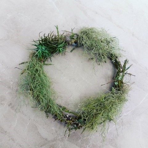 هوازی خزه اسپانیایی برای طراحی فضاهای عمومی و تفریحی