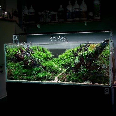 آکواریوم پلنت ارزان برای فضای کوچک