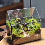 موساریوم برای افزودن زندگی به فضای اداری و تجاری
