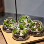 موساریوم گیاهی زیبا برای ایجاد فضای سبز در آپارتمان‌ها