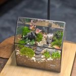 موساریوم و نحوه جایگذاری صحیح آن در فضاهای مختلف