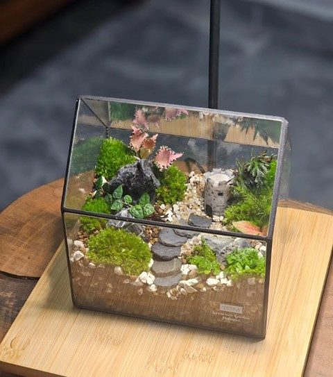 موساریوم و نحوه جایگذاری صحیح آن در فضاهای مختلف