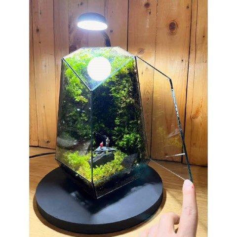 موساریوم برای ایجاد فضایی سبز و آرام در خانه