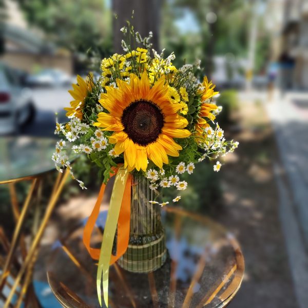 جار گل آفتاب گردان در اصفهان