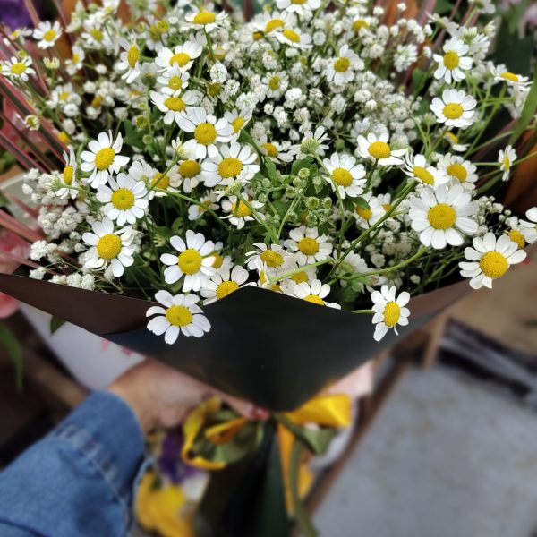 دسته گل بابونه جدید - اصفهان
